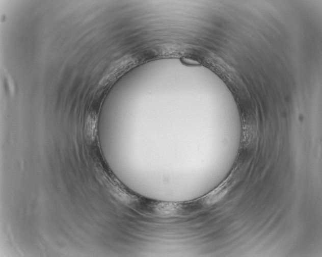 X0000086930142200705071402