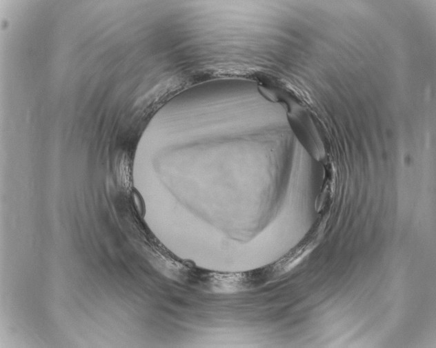 X0000086930143200705071402