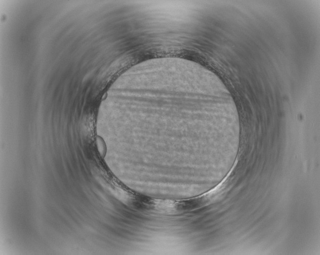 X0000086930144200705071402