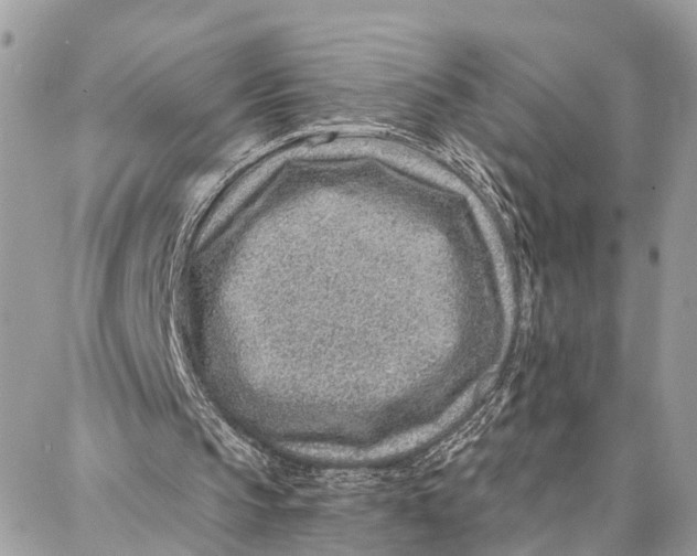 X0000086930145200705071401