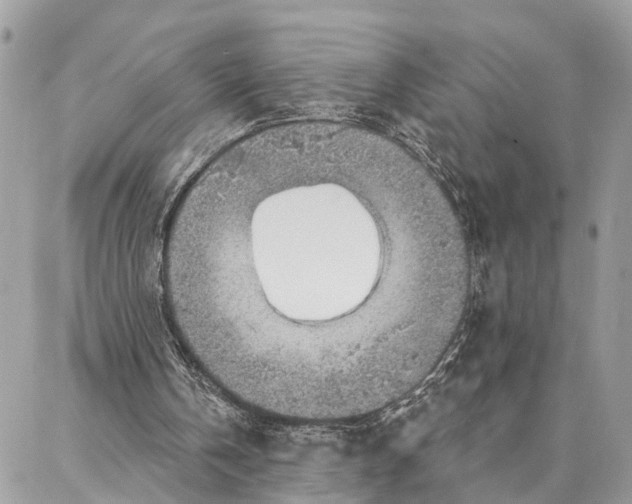 X0000086930146200705071401