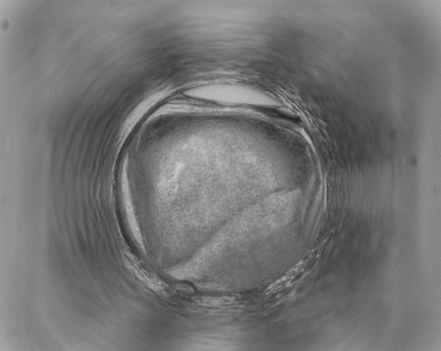 X0000086930147200705071401