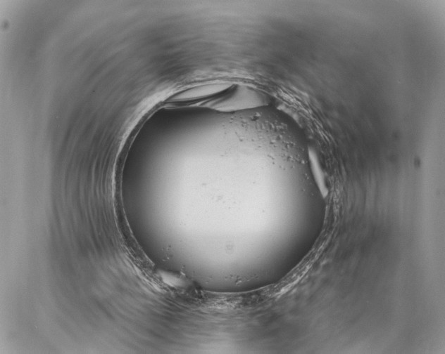 X0000086930148200705071402