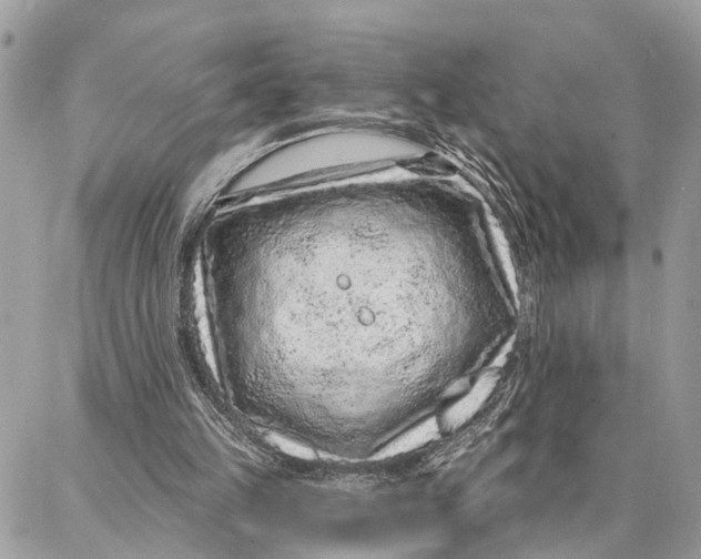 X0000086930149200705071402