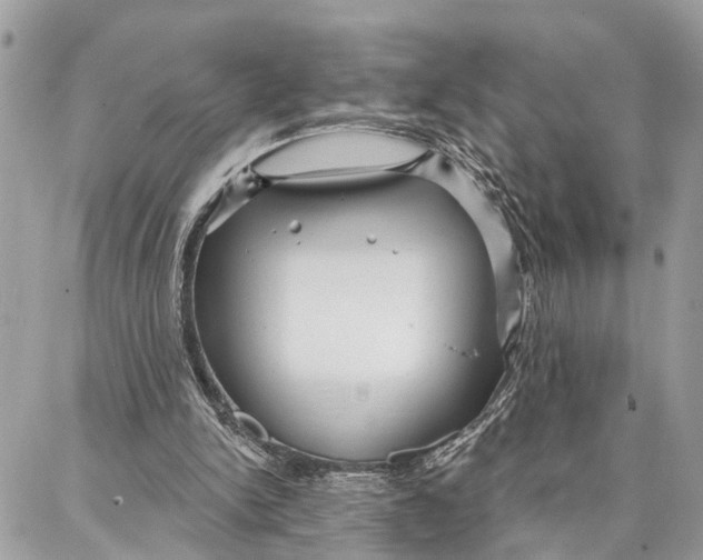 X0000086930150200705071402