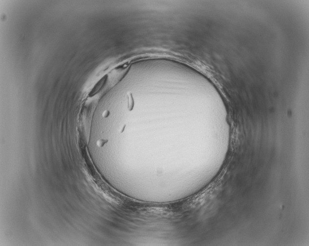 X0000086930151200705071402