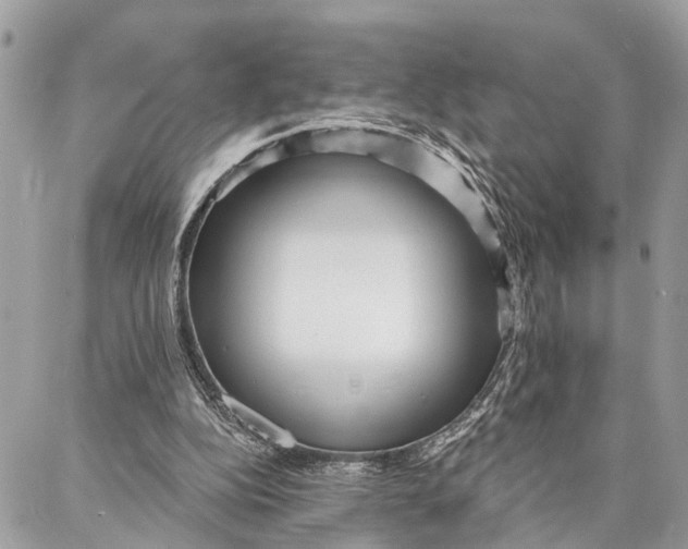 X0000086930152200705071402