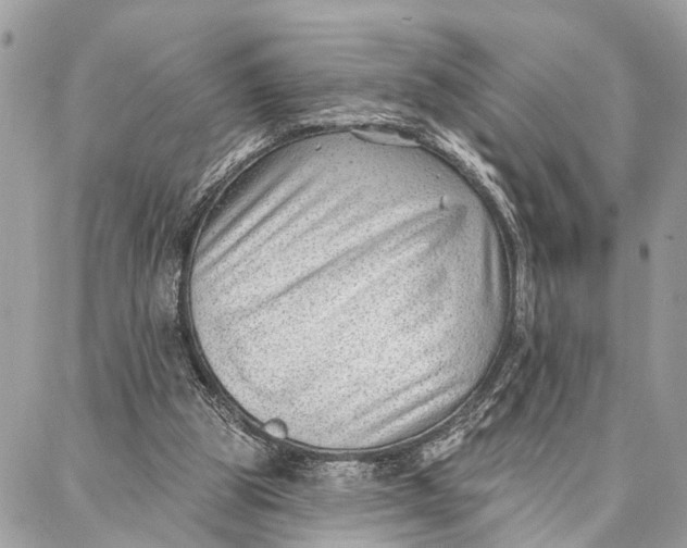 X0000086930153200705071402