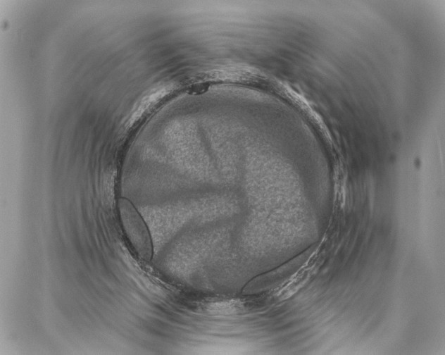 X0000086930154200705071402