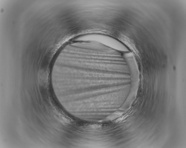 X0000086930156200705071402