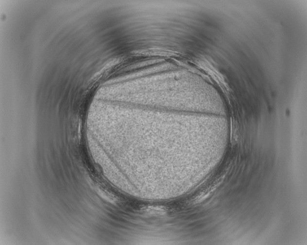 X0000086930157200705071402