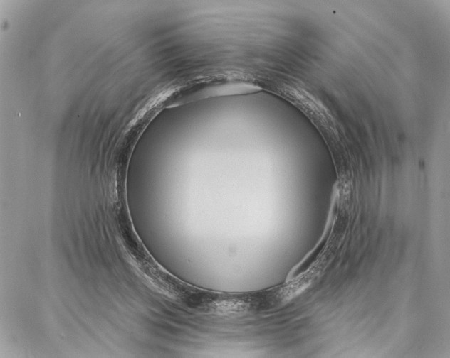 X0000086930158200705071402