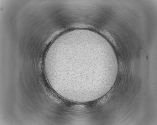 X0000086930159200705071402