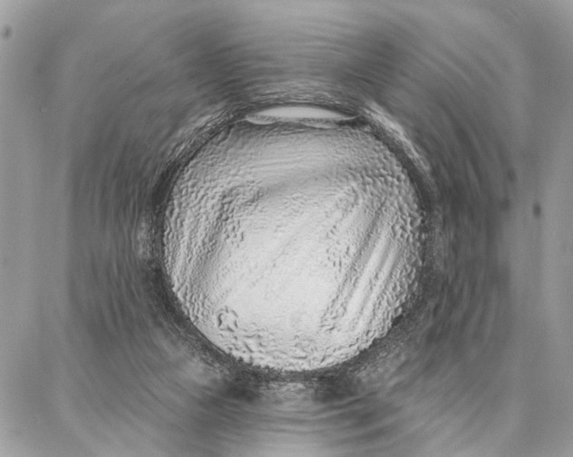 X0000086930161200705071402