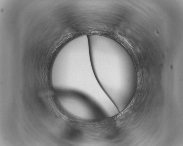 X0000086930162200705071402