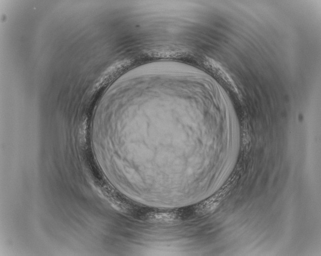 X0000086930163200705071402