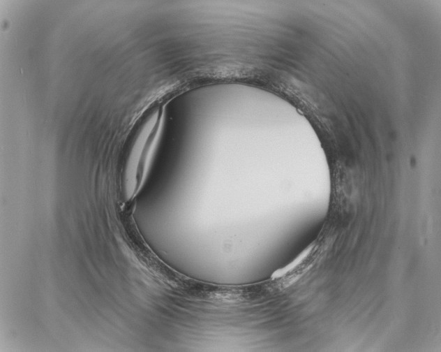 X0000086930164200705071402