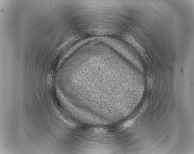 X0000086930165200705071402