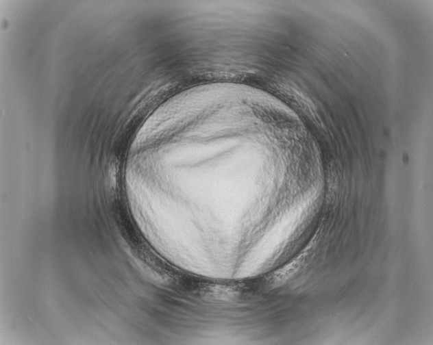 X0000086930166200705071402