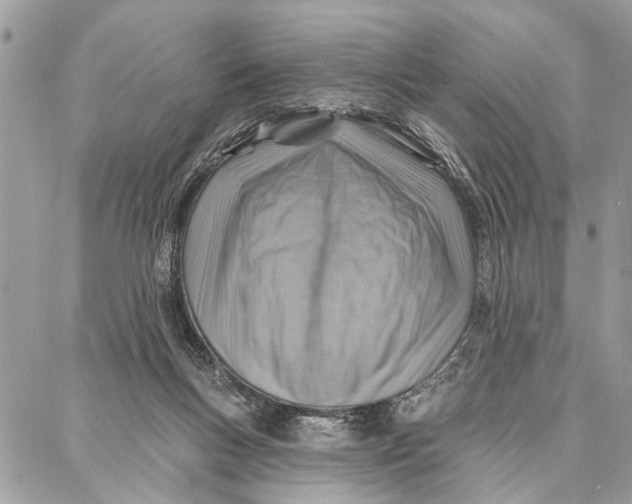 X0000086930167200705071402