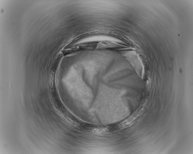 X0000086930168200705071402