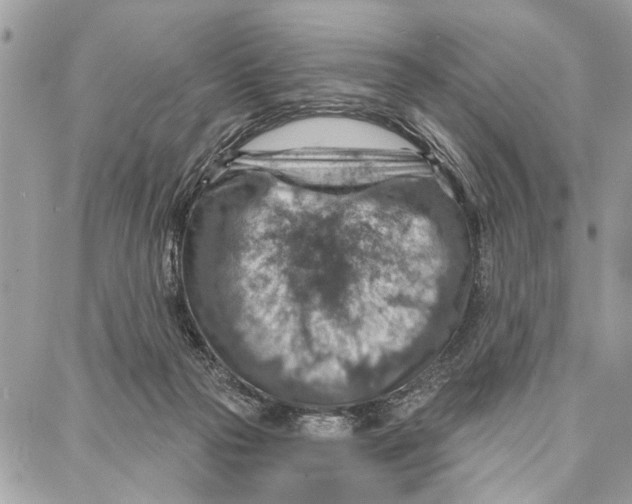 X0000086930169200705071402