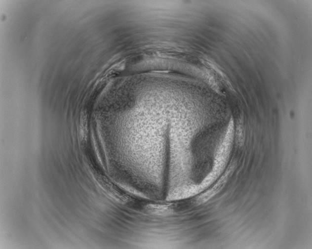 X0000086930170200705071402