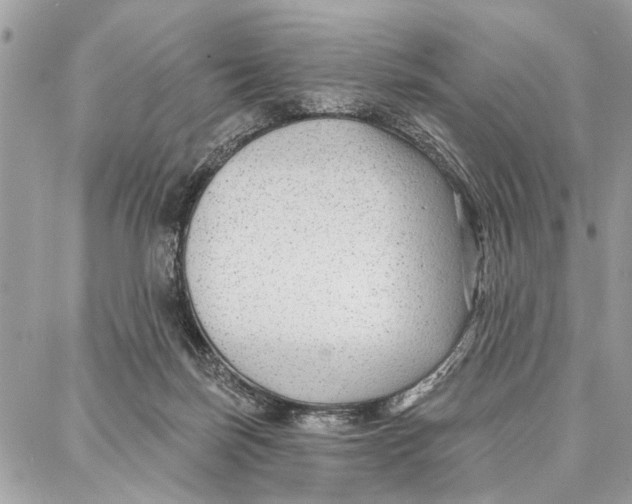 X0000086930171200705071402