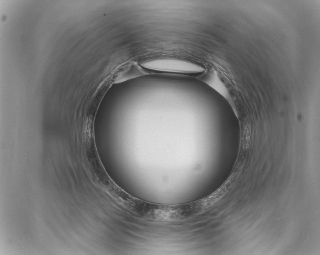 X0000086930172200705071402