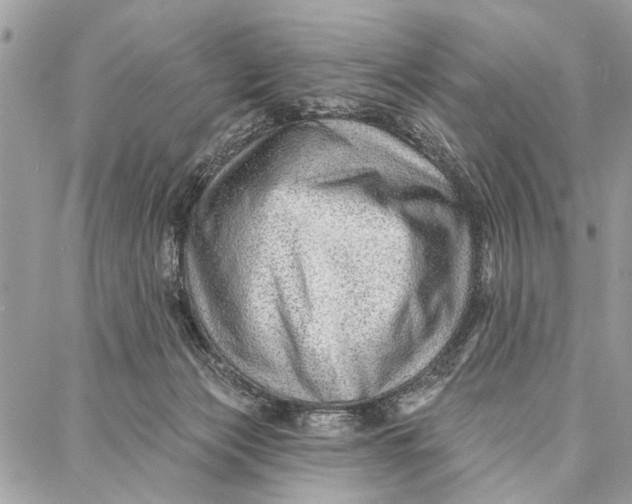 X0000086930173200705071402