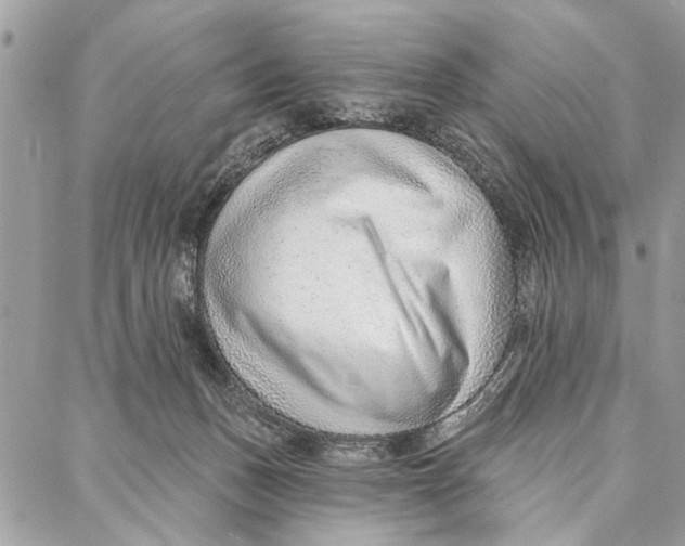 X0000086930175200705071402