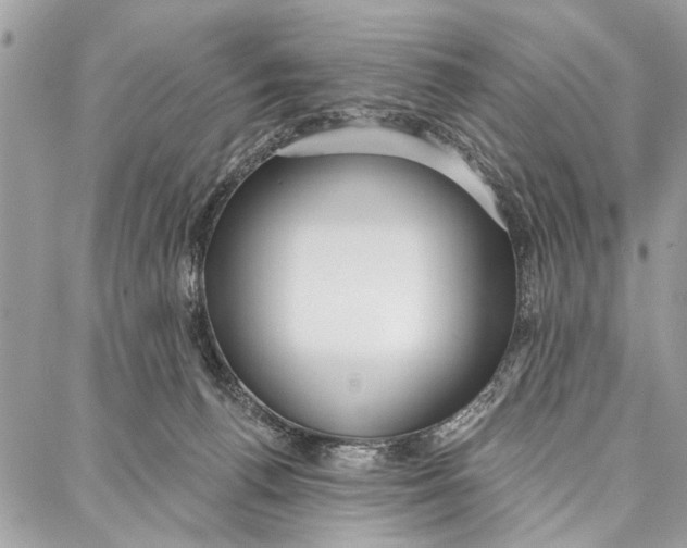 X0000086930176200705071402