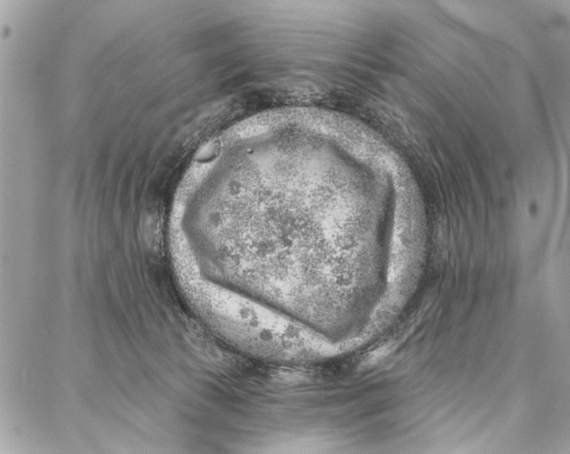 X0000086930177200705071402