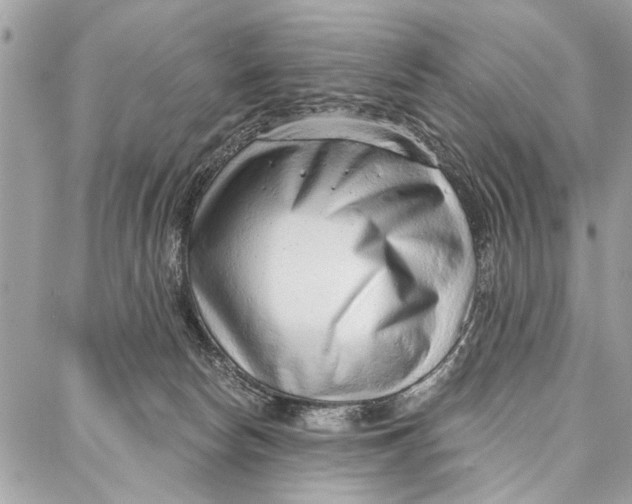 X0000086930178200705071402