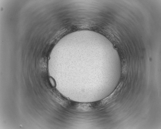 X0000086930179200705071402