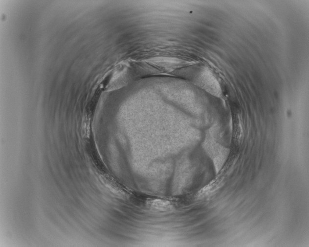 X0000086930180200705071402