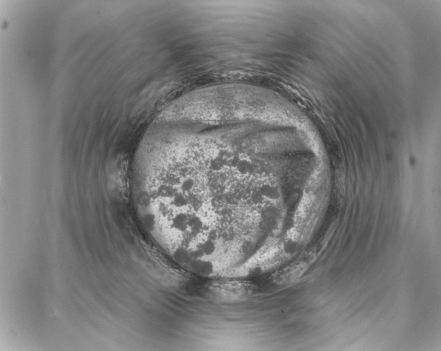 X0000086930181200705071402