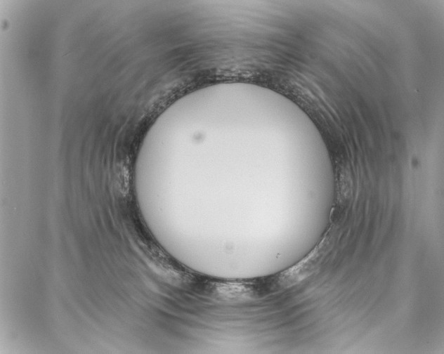 X0000086930183200705071402