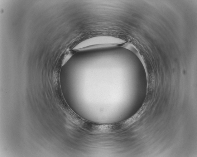 X0000086930184200705071402