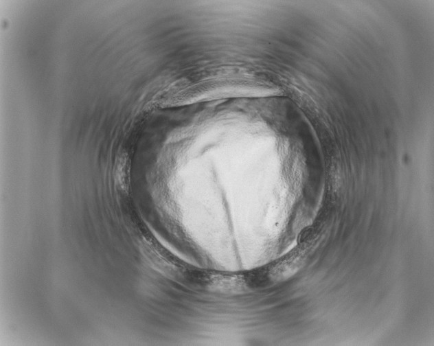 X0000086930185200705071402