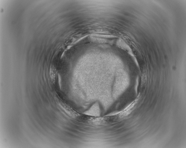 X0000086930186200705071402