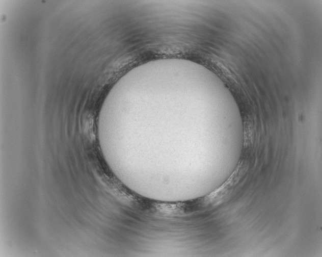 X0000086930187200705071402