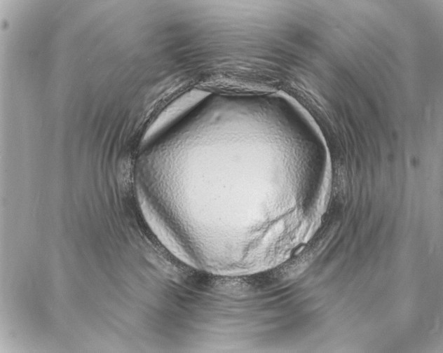 X0000086930189200705071402