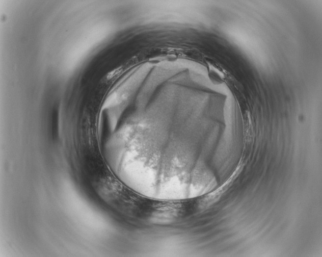 X0000086930191200705071402