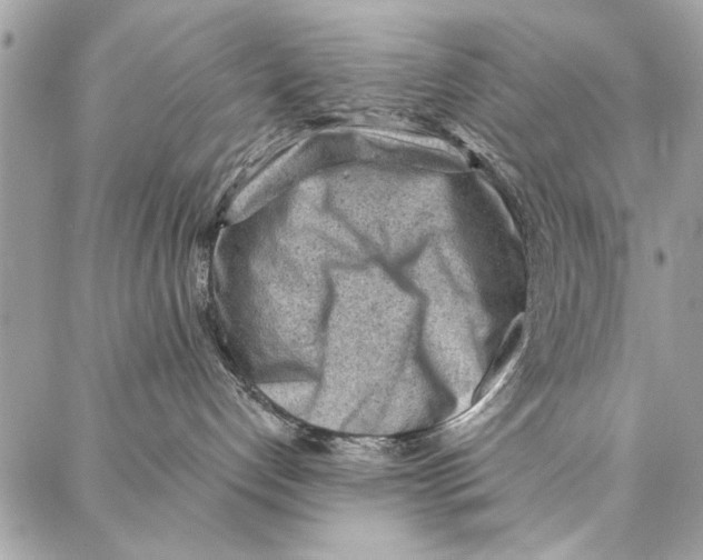 X0000086930192200705071402