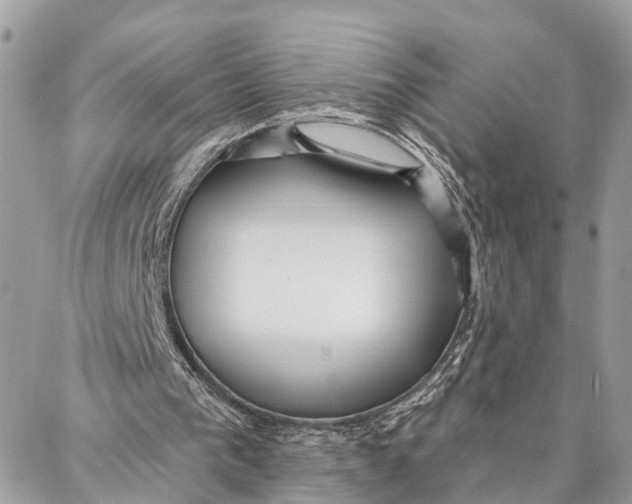 X0000086930193200705071401