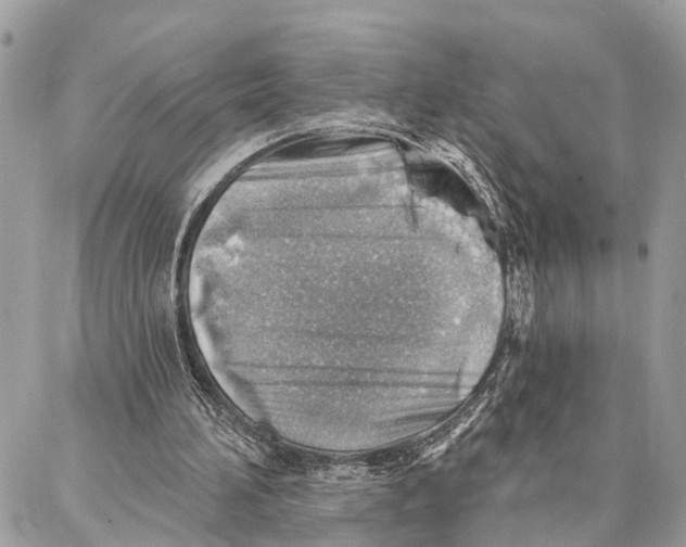 X0000086930196200705071401