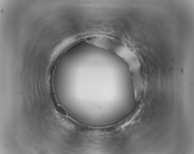 X0000086930197200705071401