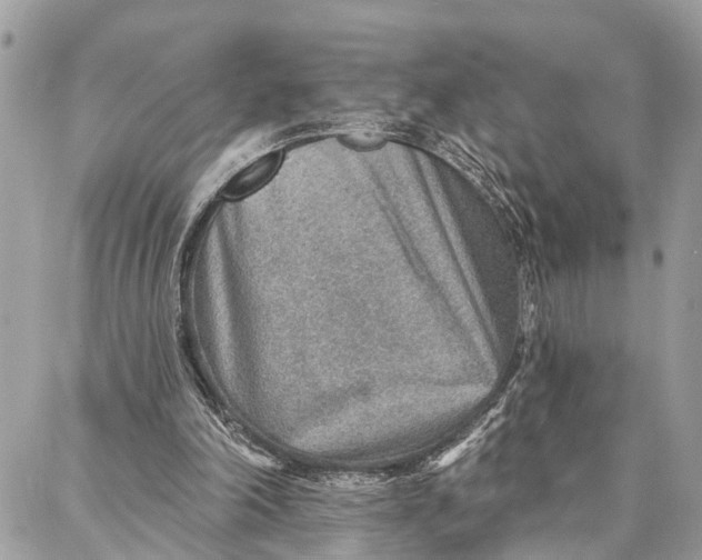 X0000086930198200705071401