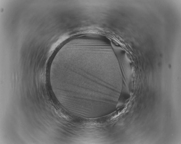 X0000086930200200705071401